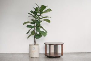 MC Swivel Table