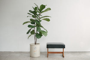 MC Adjustable Ottoman