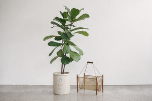 MC Magazine Rack