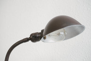 Deco Gooseneck Lamp