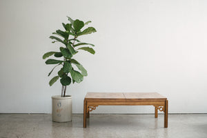 Deco Coffee Table