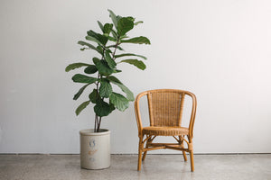 MC Bamboo Chair