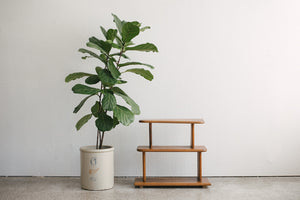MC Small Shelf