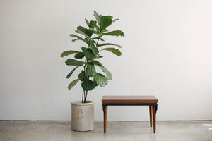 MC Side Tables