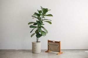MC Magazine Rack