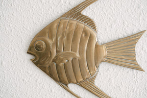 Brass Fish Family