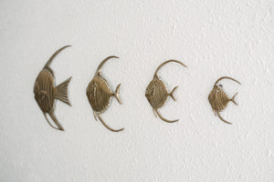 Brass Fish Family