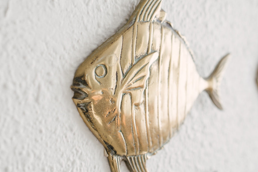 Brass Fish Family