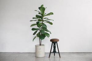 Leather Piano Stool