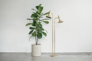 Brass Double Lamp