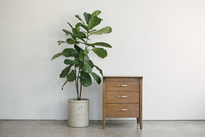 Drexel Profile Dresser