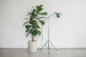 Bretford Tripod Light