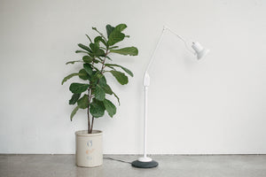Dazor Spring Light
