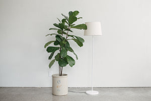 Minimalist Floor Lamp