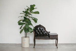 Leather Entry Bench