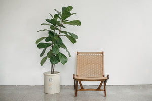 MC Woven Chair