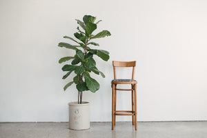 Thonet Kilim Stool