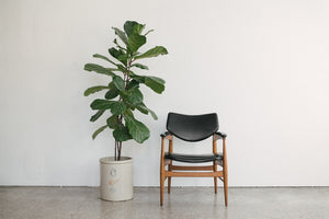 Thonet Arm Chair