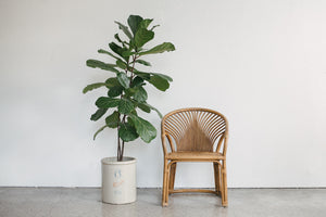 MC Bamboo Chair