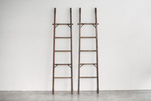 Rustic Extension Ladder