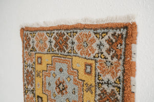 2x3 Entry Rug