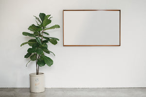 MC Horizontal Mirror