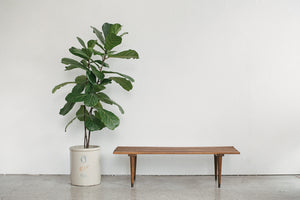 MC Slat Bench