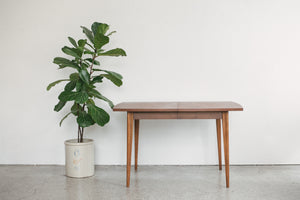 MC Dining Table