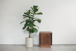 Dillingham Nightstands