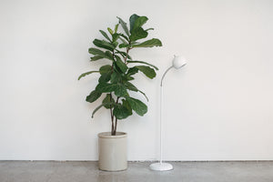 Gooseneck Eye Lamp