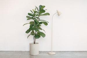 Gooseneck Spotlight Lamp