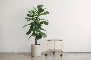 MC Bar Cart