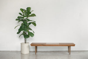 MC Slat Bench