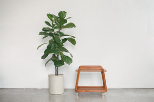 MC Teak Bar Cart