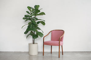 MC Ward Bennett Chairs