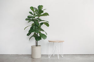 Modern Side Table