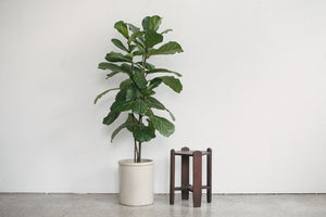 Craftsman Plant Stand