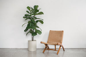 Japanese Chair & Ottoman
