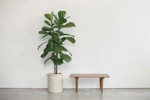 MC Slat Bench