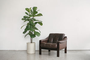 Lafer Leather Chair