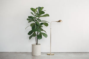 Gold Pharmacy Lamp