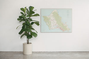 Vintage Hawaii Map