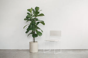 Fly Line Spaghetti Chair