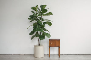 MC Nightstand