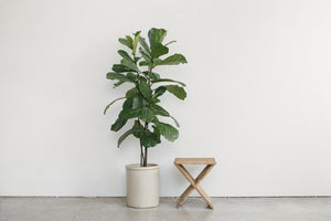 Injoi Miami X Table