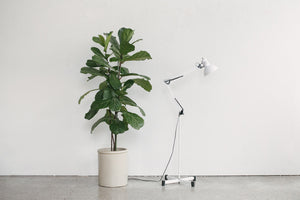 MC Drafting Lamp
