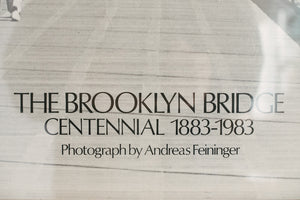 Brooklyn Bridge Art
