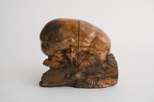 Burlwood Bookends