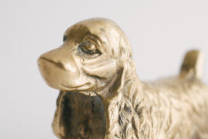 Brass Spaniel