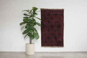 3x4 Taymani Rug